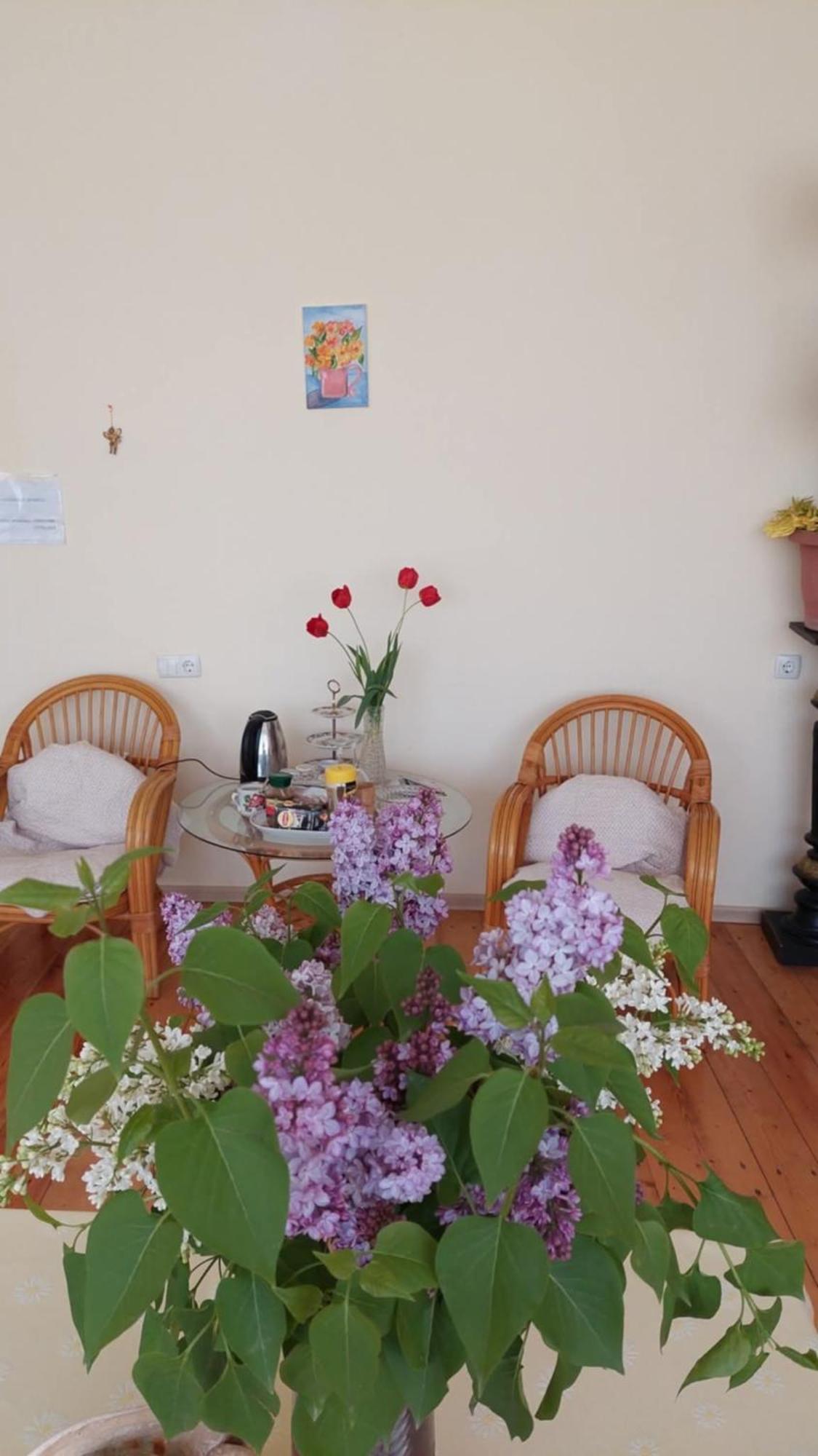 Guesthouse "Door" In Sighnaghi Esterno foto