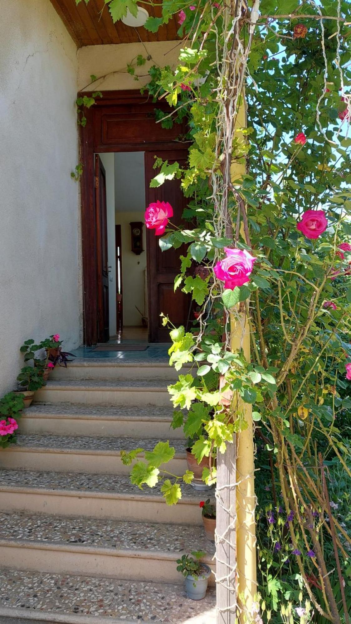 Guesthouse "Door" In Sighnaghi Esterno foto